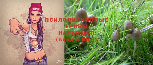 шишки Балабаново