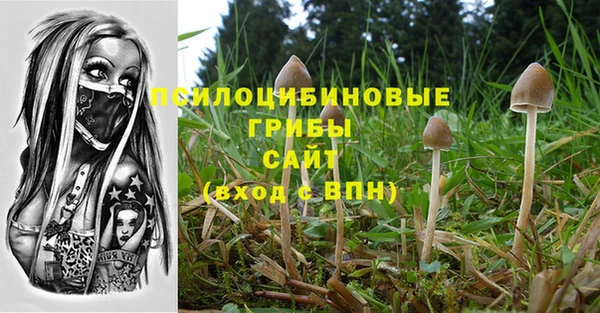 ешки Баксан