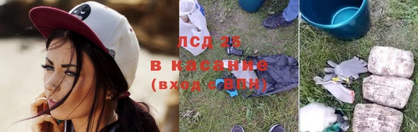 шишки Балабаново
