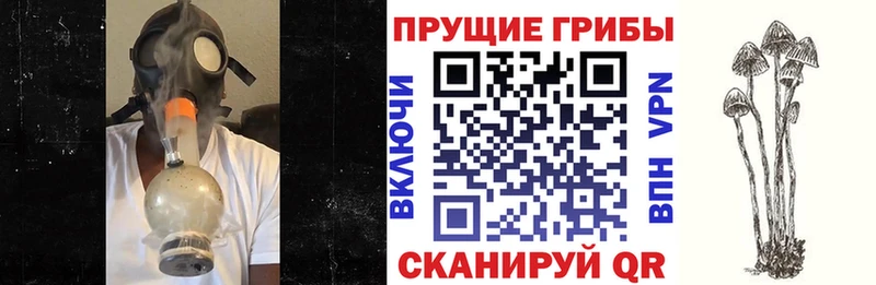 Галлюциногенные грибы MAGIC MUSHROOMS гидра ONION Корсаков