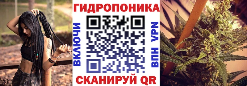 Бошки Шишки White Widow  Корсаков 